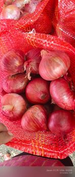 Onion 45 mm -70 mm - Etvuvy foods - India