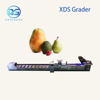 Persimmon Sorting Machine for Fruit Washing Packing Origin China Power 3.75kw Model NO. 0201 HS Code 84223000 Voltage - Zhucheng Xindesheng Automation Technology Co., Ltd - China