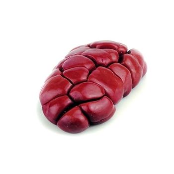 Frozen Beef Kidney Halal - High Quality, Fresh, and Frozen Product - Exigentelaxia Unipessoal Lda - Portugal