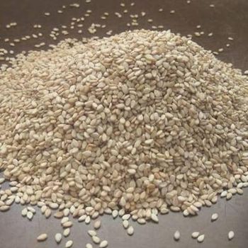 Premium Sesame Seeds Wholesale Bulk Supply Export Quality Natural Hulled and Roasted Sesame Seeds - THE GREEN INTERNATIONAL LIMITED - Tanzania