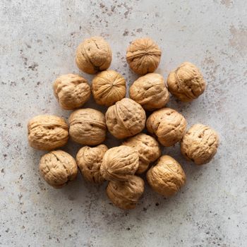 Hot Sale Nature High Quality Thin Shell Walnut Wholesale Good Quality 100% Natural Walnut from TRADECENTRIC LLC Hot Sale Nature High Quality Thin Shell Walnut Wholesale Good Quality 100% Natural Walnut - TRADECENTRIC LLC - United States