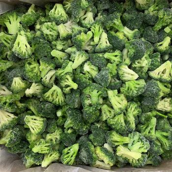IQF Frozen Broccoli-Premium Quality - 龙海市格林水产有限公司 - China