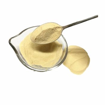 100% Pure Dehydrated Potato Powder Mashed Potato Powder - Shanghai Sinospices Sourcing Ltd. - China