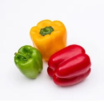 Bell Pepper Color Red Caloric Value Low In Calories Nutritional Content Rich In Vitamin C And Other -  Schwitz Biotech  - India