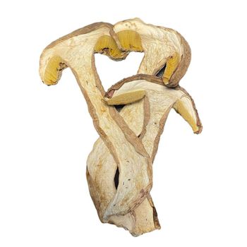 Wholesale Dried Sliced Boletus Edulis Porcini Mushroom Style Dried Type Mushroom Feature Healthy Taste Delicious Grade High - Jicao Hanfang (ningxia) Agricultural Development Co., Ltd. - China