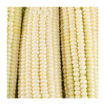 Agro Products Brazil frozenchickenexports.com - AGROSTREAM EXPORTS AND IMPORTS PTY LTD - South Africa