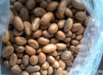 Bitter Kola from SAMJOSE INTER BIZNESS LINKS LIMITED Bitter Kola – product photo, Bitter Kola Nut products found from trusted suppliers, wholesalers, manufacturers & exporters Listing