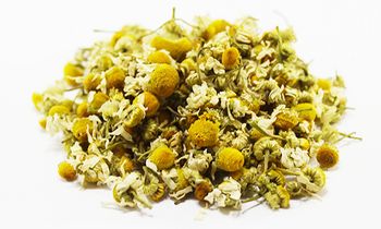 Chamomile Season All Year Weight 10 Kg, 10 Kg – 20 Kg – 25 Kg, 25 Kg, 5 Kg – 10 Kg – 20 Kg – 25 Kg, 5 Kg – 25 Kg Packing Paper Box – Polypropylene Bags, Polypropylene Bags, Polypropylene Package, Polypropylene Package – Paper - King Herbs Co - Egypt