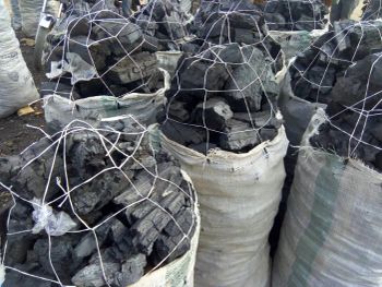 Charcoal - AGRO AI TECHNOLOGIES LIMITED - United Kingdom