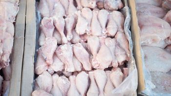 Premium Frozen Chicken (Grade A Whole Griller & Cuts) - Abelto Farm - Switzerland