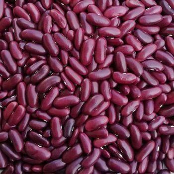 Red Kidney Bean bulk supply - Thai Sme-Gp Company - Thailand