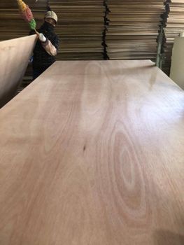 Commercial Plywood from Vietnam - QHD International Trading - Vietnam