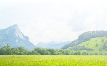 Biodiesel Manufacturing - BAKER COMMODITIES INC - Global