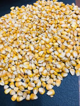 CORN SEEDS Shelf Life 2 years Max. Moisture (%) 14% Drying Process Sun -  HAKEEM AND CO CHAMAN PANSAR - Pakistan