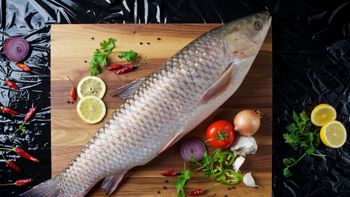 Carp Flavor Rich Form Liquid Appearance Clear Intended Use Culinary - Rsvp kft. - Hungary