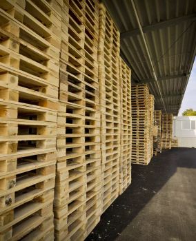 Flexible Packaging and Logistics for Pet Food - AUSTRIA PET FOOD GMBH - Global