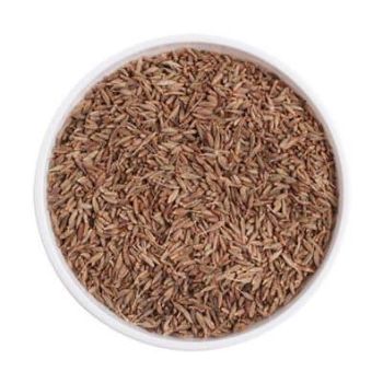 cummin seed - ATONOVA EXIM - India