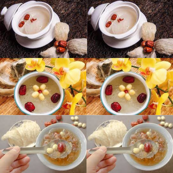 Good Price Refined Bird'S Nest 100% Fresh Bird Nest For All Age Tasteless Packed In Box Vietnam Manufacturer - RHINO TRAN CO., LTD - Vietnam