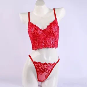 Women Lingerie Fuchsia Bra and Underwear Set with Lace Design Sexy - Foshan Nikeli Biotechnology Co., Ltd. - China