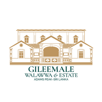Product – product photo, Cinnamon Oil products found from trusted suppliers, wholesalers, manufacturers & exporters Listing