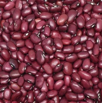 Red Beans – product photo, Red Speckled Beans products found from trusted suppliers, wholesalers, manufacturers & exporters Listing