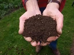 Vermi Compost Odor Odorless Toxicity Non-toxic Decomposition Status Fully Decomposed Crop Suitability Suitable For All - Farmora Naturals - India