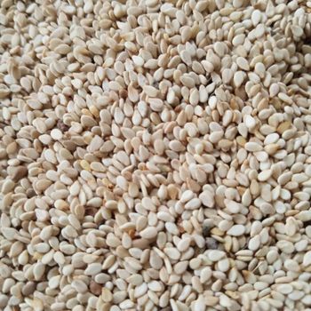 Sesame Seeds - Nigussie Yitayew Import & Export - Ethiopia