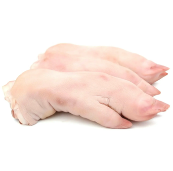 Frozen Pork Hind Feet (Trotters) Bulk Wholesale Supply, Premium Quality Fresh/Frozen Pork Feet - pptradinggmbh - Germany