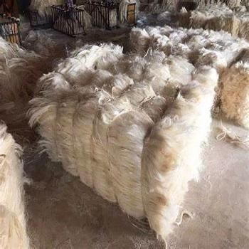 100% Quality Raw Pattern Sisal Fiber – Premium Natural Fiber Available for Sale at Best Market Price - Nedvixs Company Limited - Kenya
