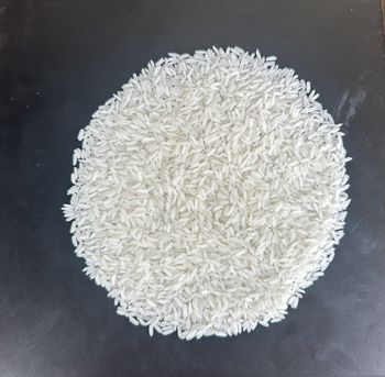 Cambodian Jasmine Rice, Cambodia Long Grain White Rice, Cambodian Fragrant Rice (SKO), Cambodian Fragrant Rice (SRO) - Fang Ly Rice Mill. - Cambodia
