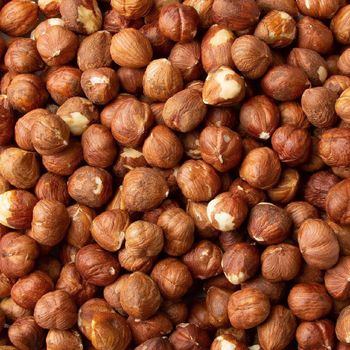 Organic Grade Raw High Nutrition 100% Natural Large Quantity Hazelnuts Factory Direct Wholesale - PLANETE COMMERCE - France