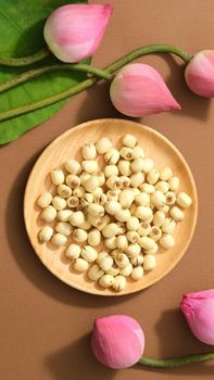 Lotus Seed Type Seed Origin India Size 10–15 Mm Impurity Level <1% Packaging 5 KG Bag Broken Seed Rate <3% Moisture Content 8–12% - SriMa Traders - India