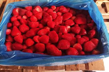 IQF Frozen Strawberry Grade. A-Festival - KEMET FOR IMPORT & EXPORT - Egypt