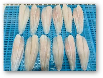 Vietnam Frozen Pangasius Fillet - Well Trimmed, Light pink to Natural white, Size 220Gr-Up - International Development & Investment Corporation (I.D.I Seafood) - Vietnam