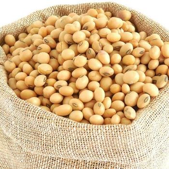 We supply soybeans, carefully cleaned and graded for use in food, feed, and industrial processing – product photo, Food Processing Products products found from trusted suppliers, wholesalers, manufacturers & exporters Listing