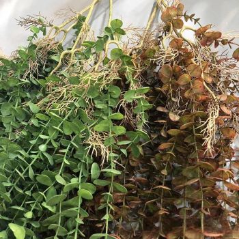 11 Branch Eucalyptus Artificial Hanging Plants for Wedding Aisle Wall Home Outside Decorations - Foshan Sichuang Imp. & Exp. Co., Ltd - China