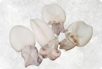 Frozen Cuttlefish Supplier From Vietnam - Food Link VN Co., LTD - Vietnam