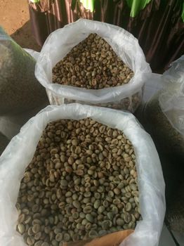 Arabica Coffee (Green Bean Coffee) – product photo, Organic Arabica Green Coffee products found from trusted suppliers, wholesalers, manufacturers & exporters Listing
