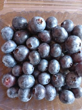 Bluberry – product photo, Blueberry products found from trusted suppliers, wholesalers, manufacturers & exporters Listing