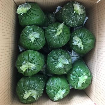 FROZEN GROUND CASSAVA LEAVES FACTORY VIETNAM TAPIOCA LEAVES HIGH QUALITY CHEAP PRICE - Whatsap 0084989322607 - Sunrise Ins Group - Vietnam