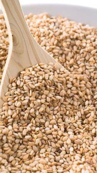 Egyptian White Sesame Seeds (Hulled / Natural) - Friends For Import & Export⁠ - Egypt