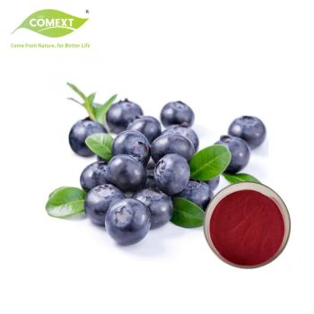 Comext 10: 1 Purple Red Bilberry Fruit Concentrate Juice Powder - Changsha Comext Biotech Co., Ltd. - China