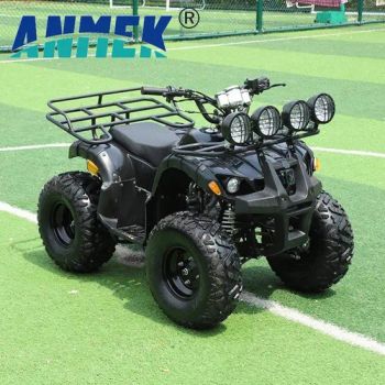 Manufacturer Direct Sales 4X4 250cc 125cc Quad 500cc ATV/UTV Parts 400cc off Road 800cc Trailer 200cc Rear Axle Tires Bike Farm Kids ATV - Hangzhou Longwin Industry Limited - China