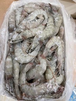 supplying Frozen Vannamei Shrimp (Penaeus vannamei) from Indonesia - Satria - Indonesia