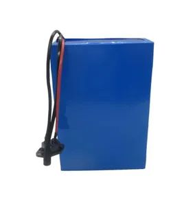Evva Rechargeable OEM Lithium Battery Pack 22V 25 9V 29 6V 36V 48V 20ah 30ah 40ah for Uav Drone E Bike E Scooter - EVVA TECHNOLOGY CO., LIMITED - China
