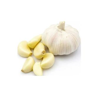 Fresh Organic Natural Garlic from DAEWKAEW PANTAMANG Co., Ltd Fresh Organic Natural Garlic - DAEWKAEW PANTAMANG Co., Ltd - Thailand