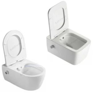 Bathroom Sanitary Ware Wall Hung Toilet Wc - Chaozhou Chaoan Bath Friend Sanitary Ware Co., Ltd. - China