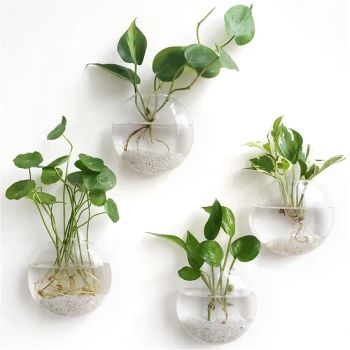 BSCI Factory Wall Hanging Planter Propagation Station Glass Flower Vase for Hydroponics Plants - Quanzhou Leader Industry Limited - China