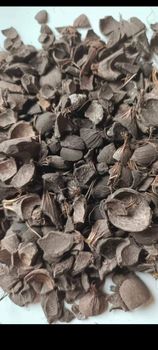 Palm Kernel Shell - Bima Prima - Indonesia