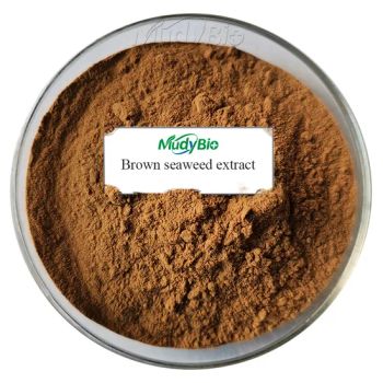 Brown Algae Extract Seaweed Extract Powder Biological Organic Fertilizer Biostimulant Soil Conditioner - Henan Mudy Biotechnology Co., Ltd. - China
